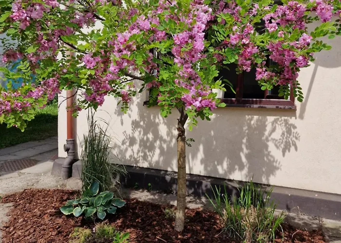 Apartament Cassino